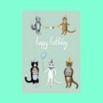 Wenskaart met envelop 'happy birthday cat'